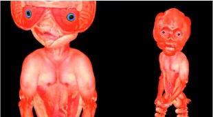 MARUOSA期間限定PV配信