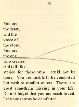 1042512760_sultspilot